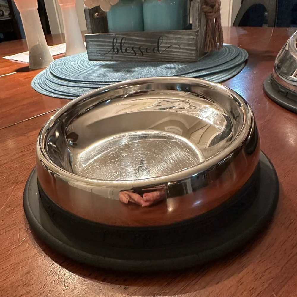 Stainless Steel Angled‎ Pet Bowl with Non-Slip Base